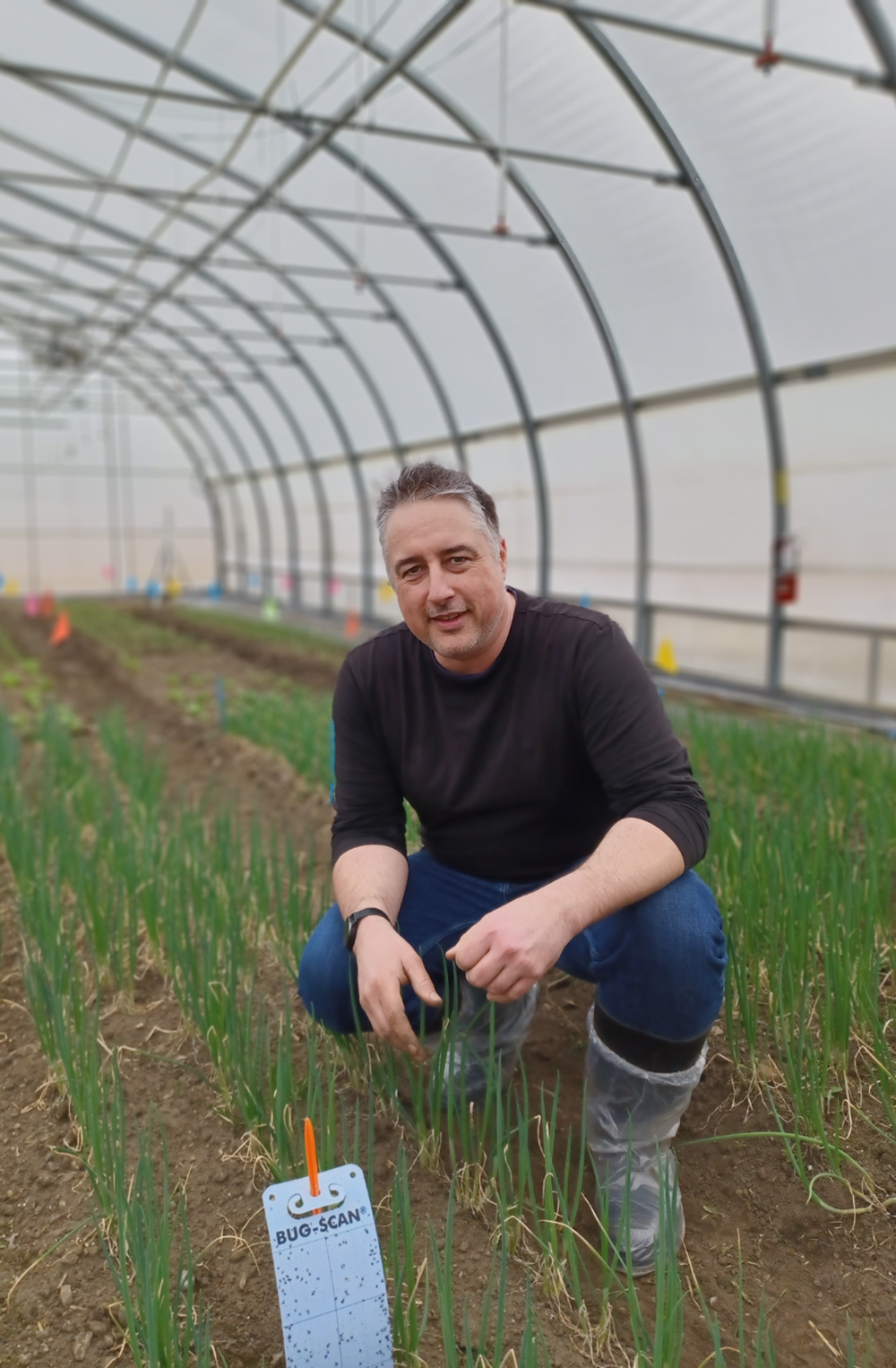 Philippe-Antoine Taillon, Expert Advisor in Greenhouse Vegetable and Fruit Crops with the Quebec Ministry of Agricultural Fisheries and Food of Quebec (MAPAQ)