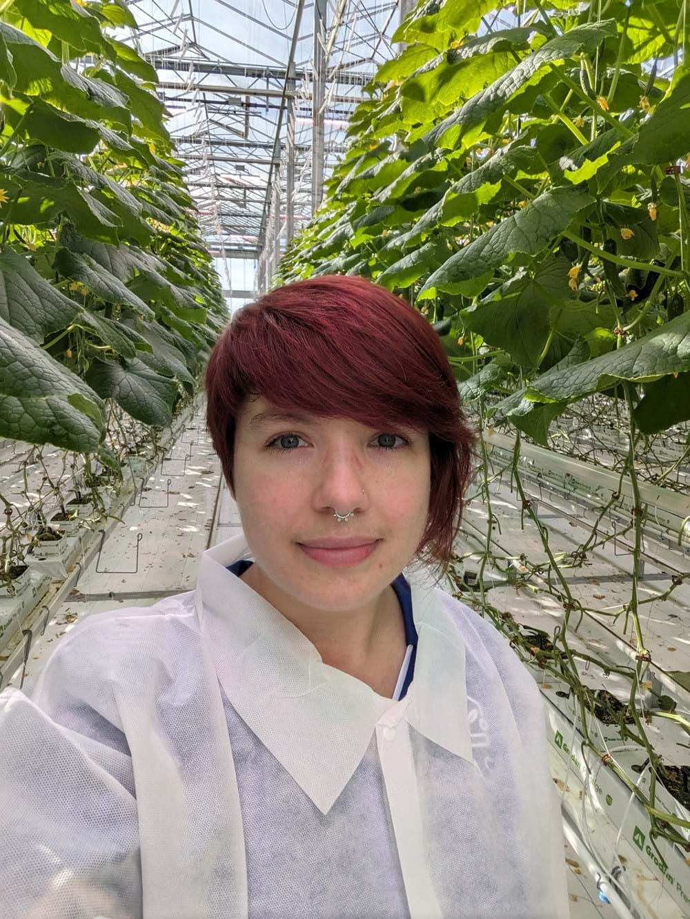 Gretchen at the Horteca horticultural technology center in Leamington, ON.